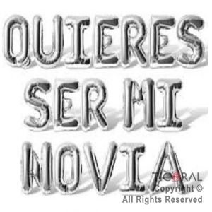 SET DE GLOBOS METALIZADO FRASE QUIERES SER MI NOVIA 17 UNIDADES PLATA 